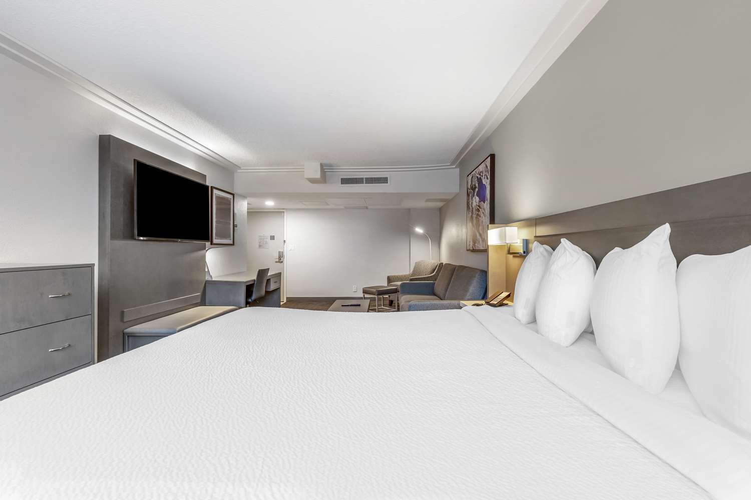 Studio, Suite, King Bed, Sofa