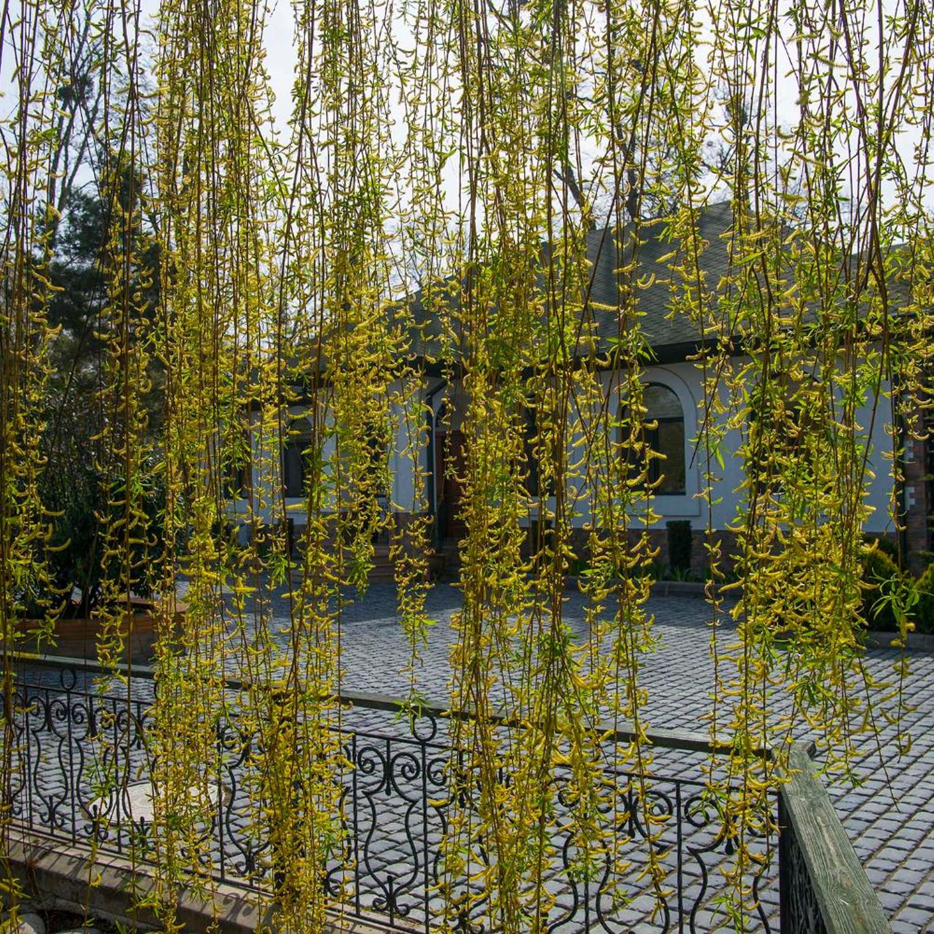 River inn Resort & SPA Nabran 55/58
