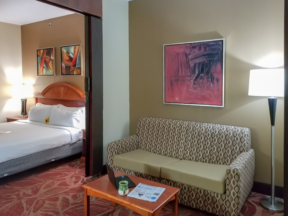 Holiday Inn Express Hotel And Suites Orange City 23/63