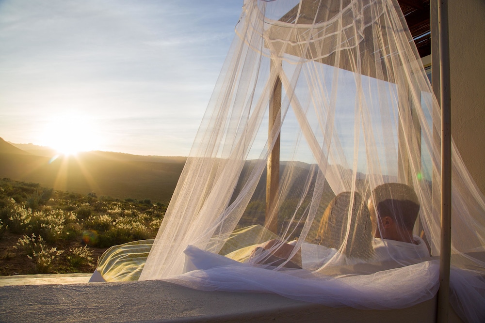 Simbavati Cederberg Ridge 27/50