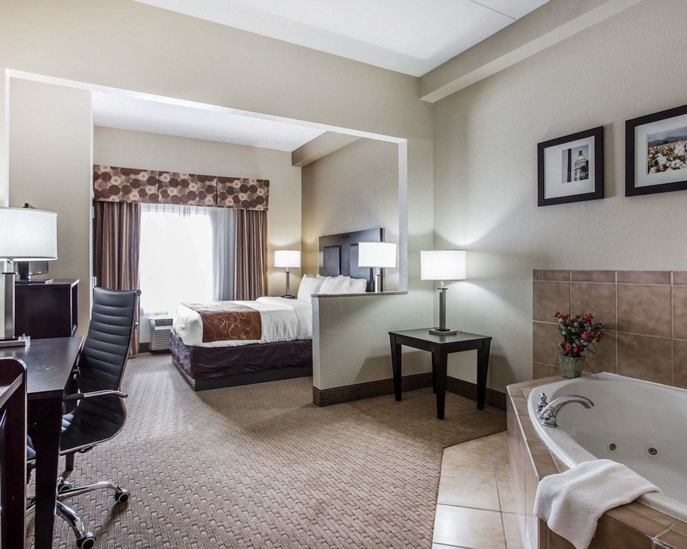 Comfort Suites Morrow- Atlanta South 21/39