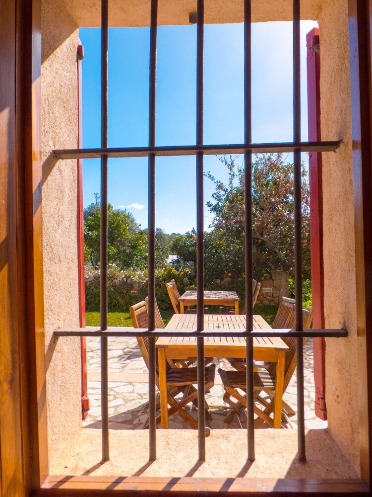 Finca Hotel Ses Cases Noves 19/50