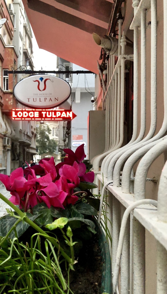 THE HOUSE OF TULPAN 27/34