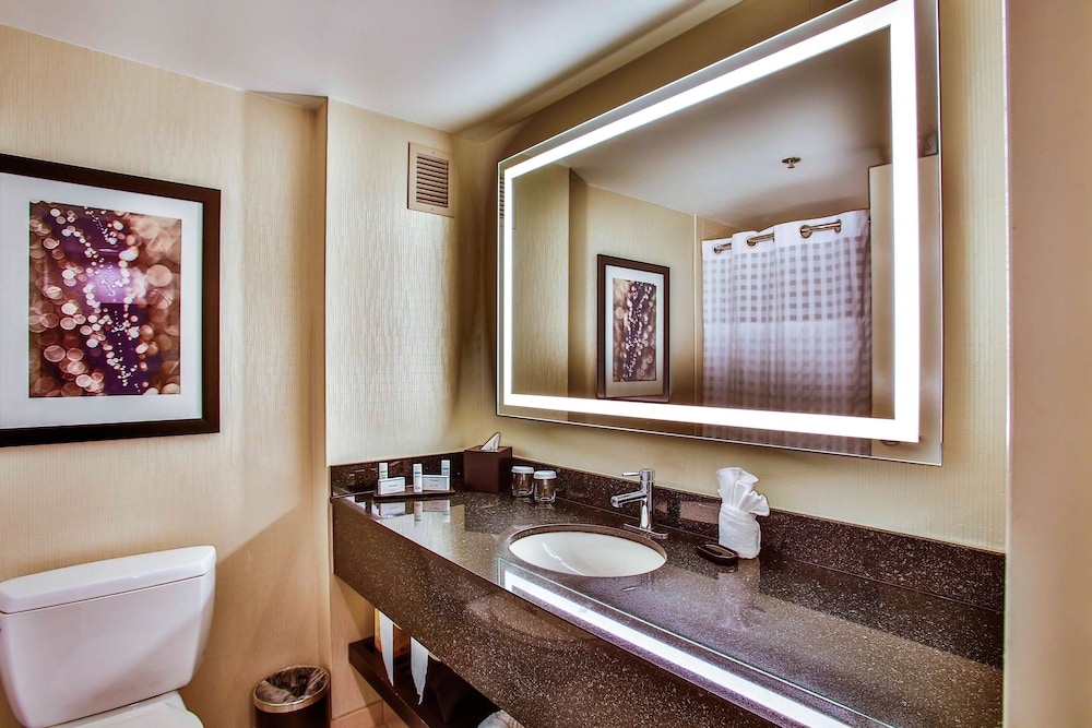 Embassy Suites by Hilton Chicago Downtown Magnificent Mile 31/53