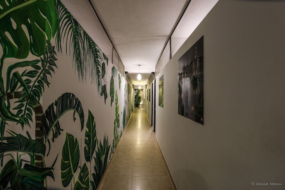 Gayser Hostal 2/25