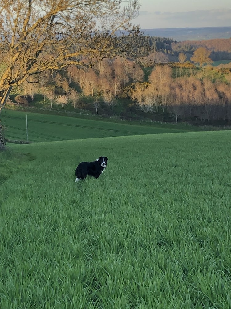 Lower Thornton Farm 26/46