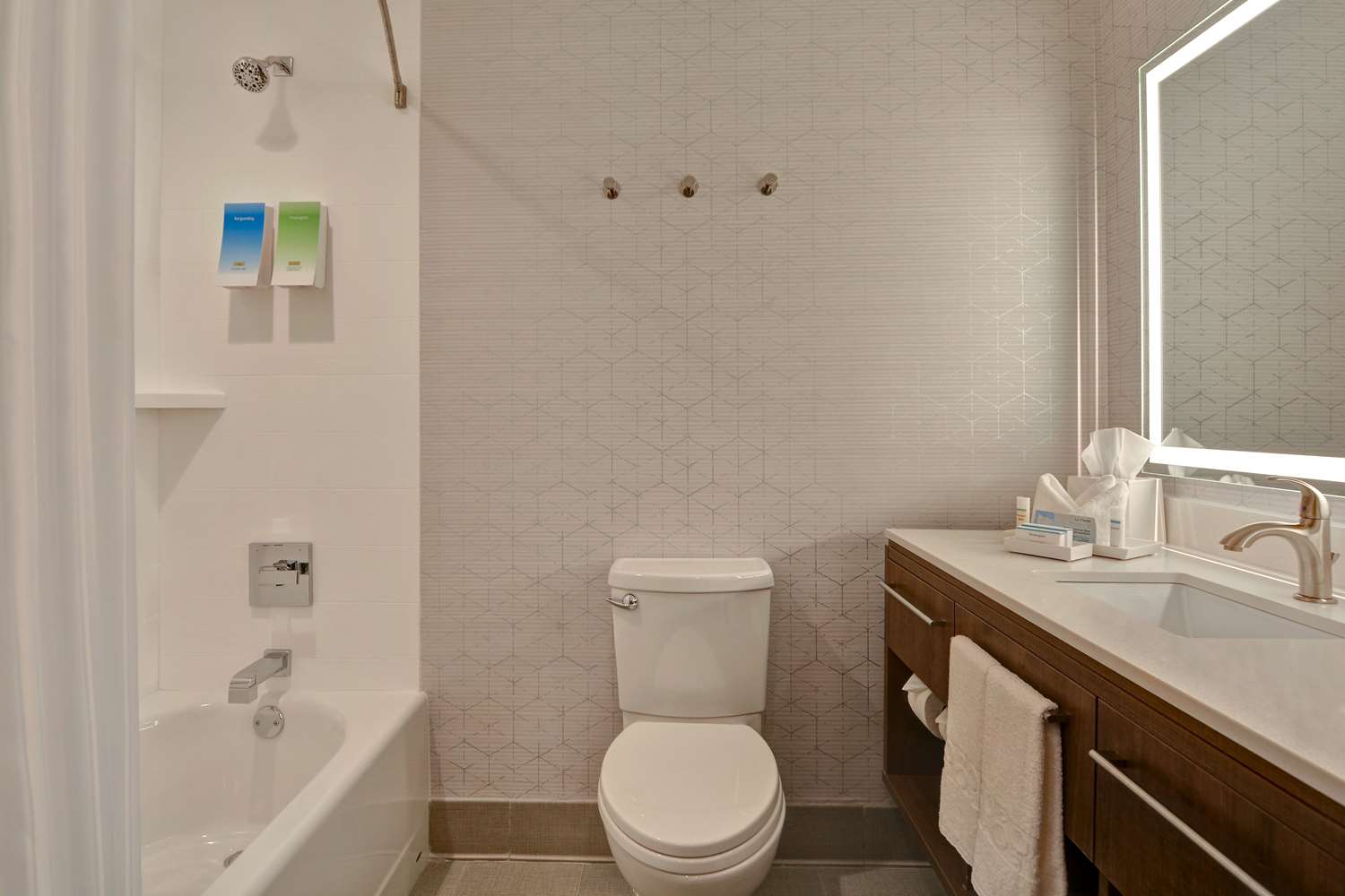 STUDIO, SUITE, 2 QUEEN BEDS, ACCESSIBLE