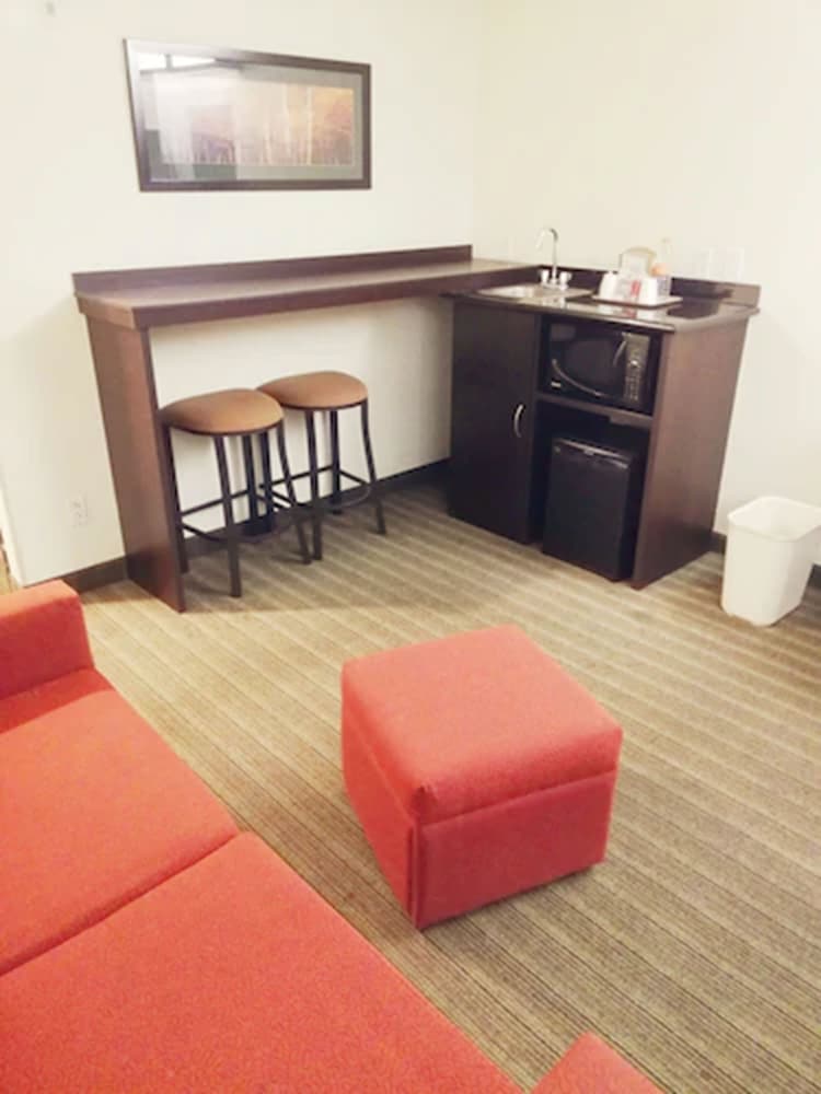 Microtel Inn and Suites by Wyndham Toluca 29/41