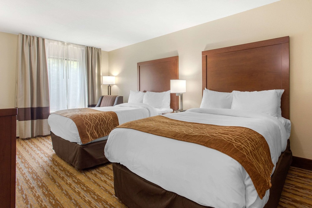Comfort Inn Asheville East-Blue Ridge Pkwy Access 20/39