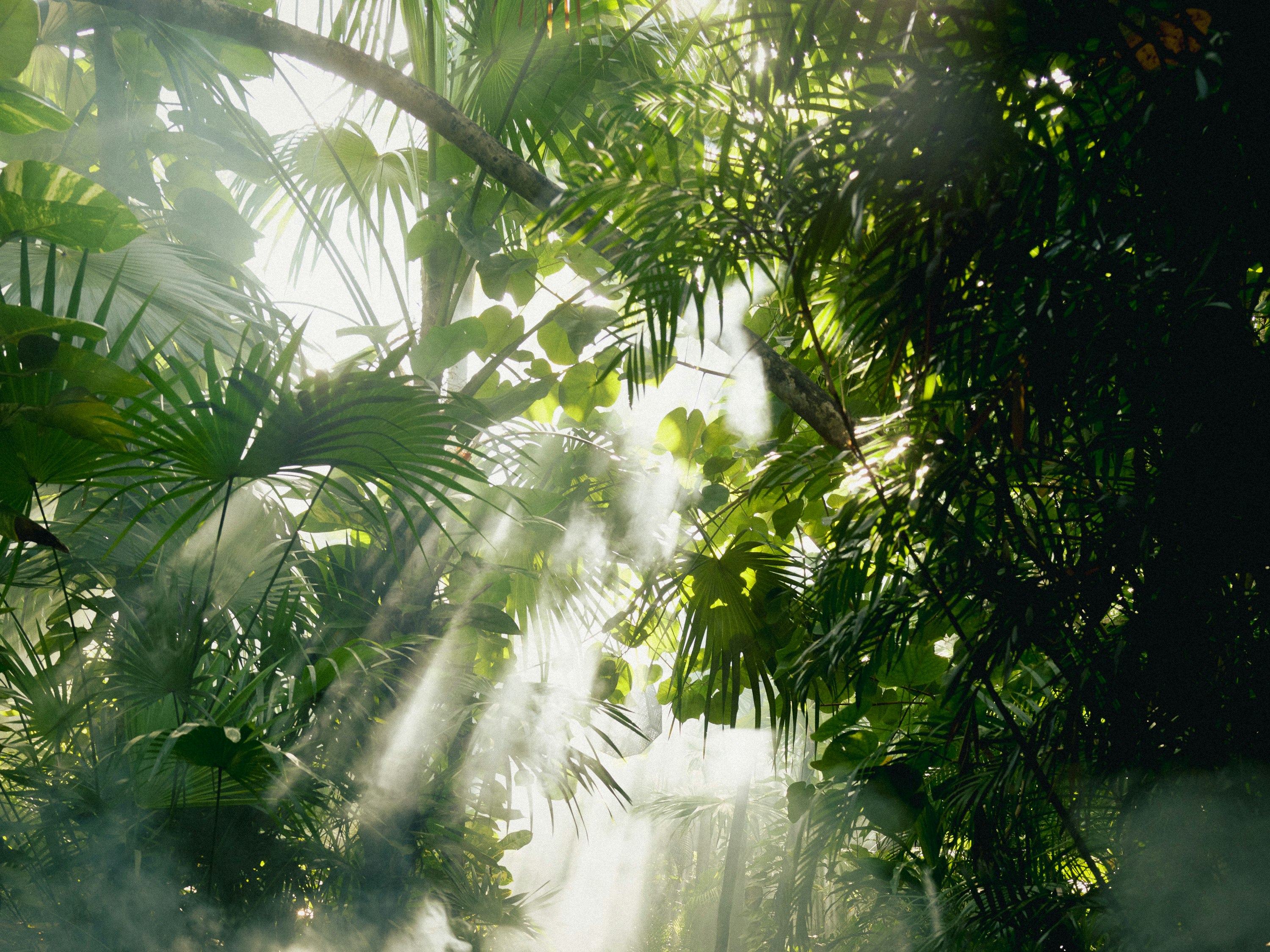 Be Tulum Beach Spa Resort 41/50