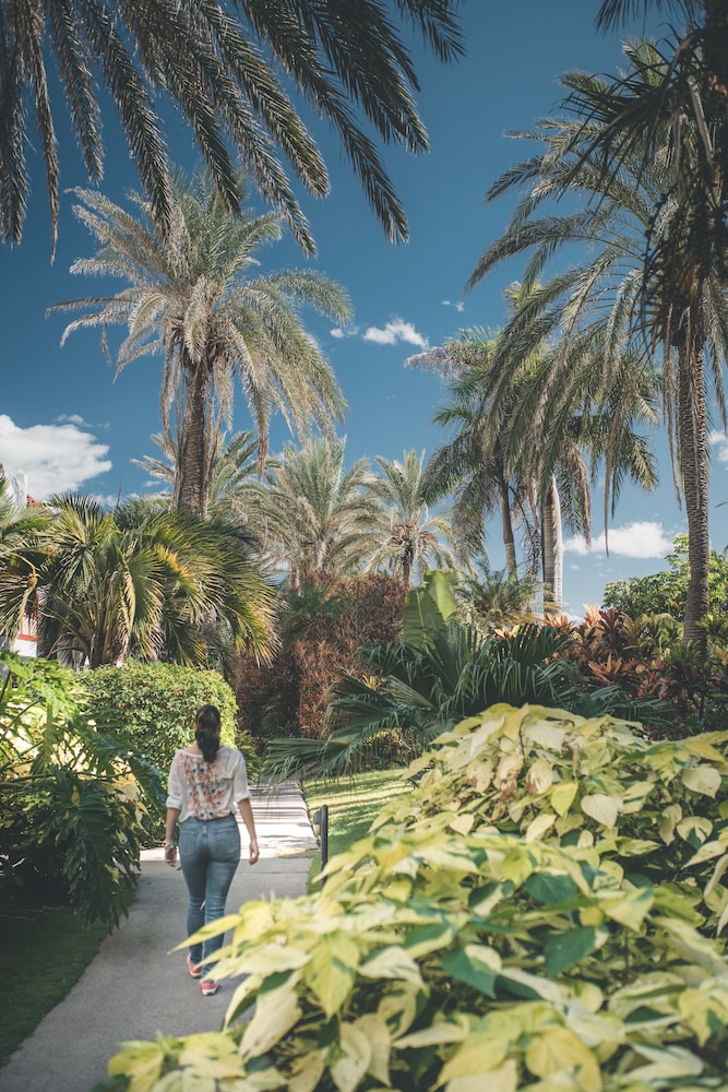 Hacienda San Jorge 44/50