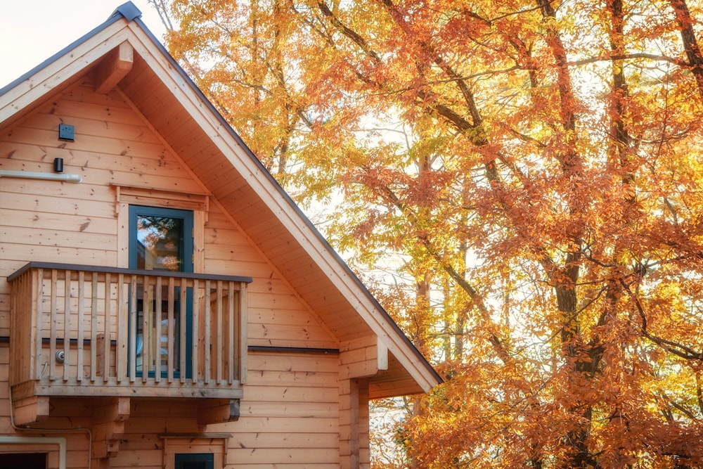 Wadano Woods Chalet 4/45