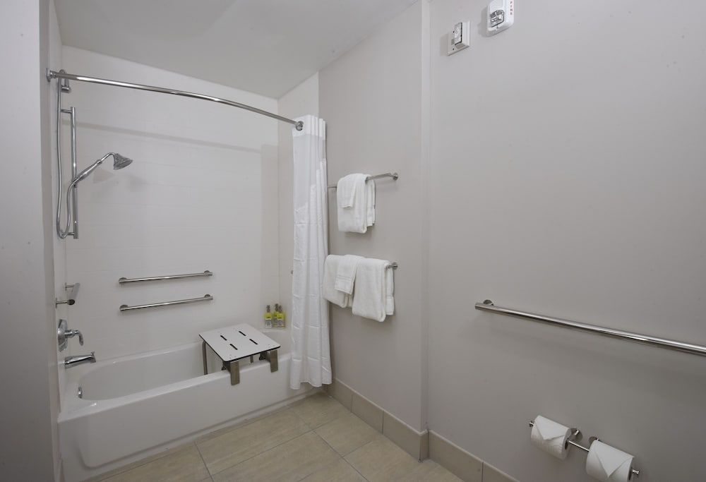 Holiday Inn Express & Suites Orlando - Lake Nona Area 16/47