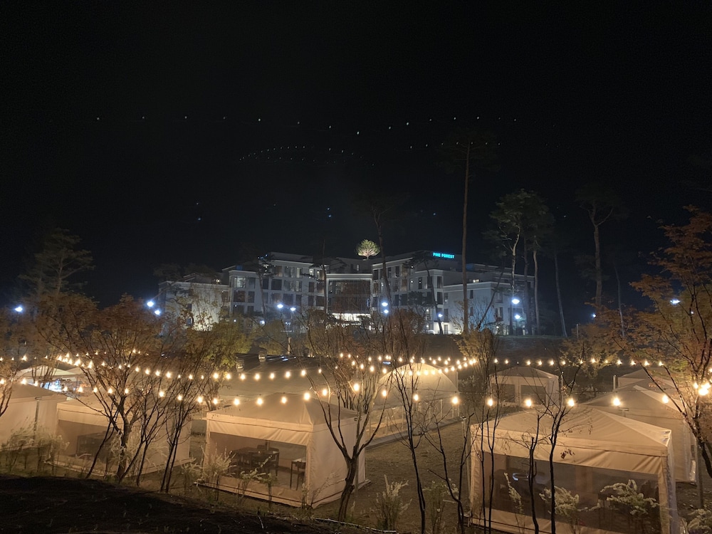Pine Forest Jeongseon Alpine Resort 35/44