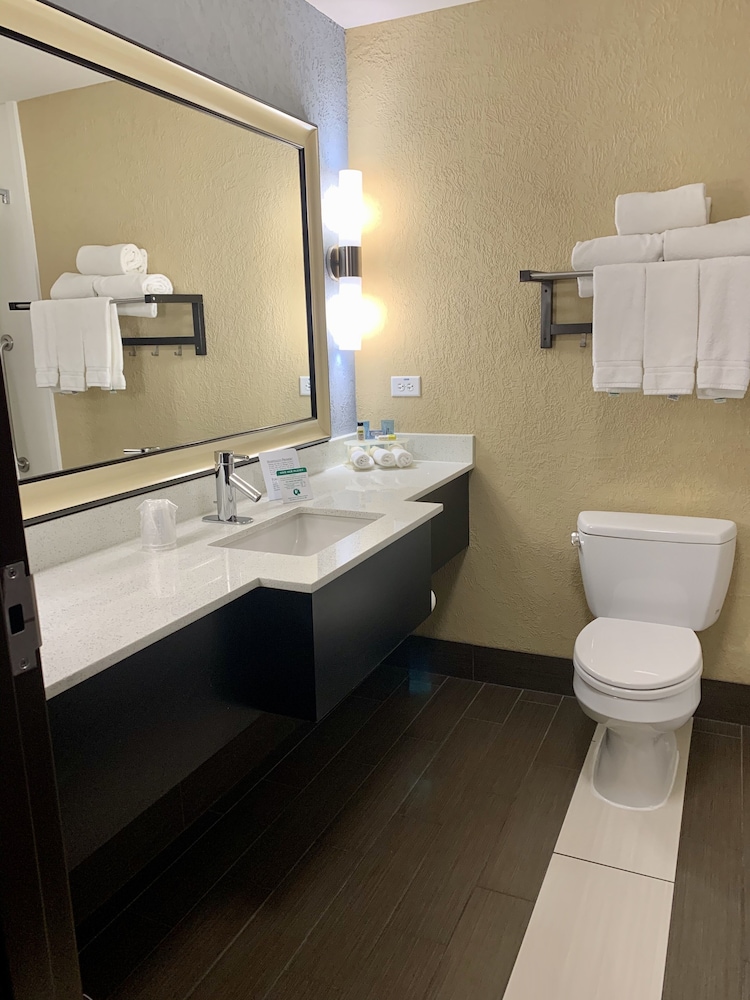 Standard, King Bed, Sofa, Holiday Inn Express Hotel Suites Kansas City Airport 4/4