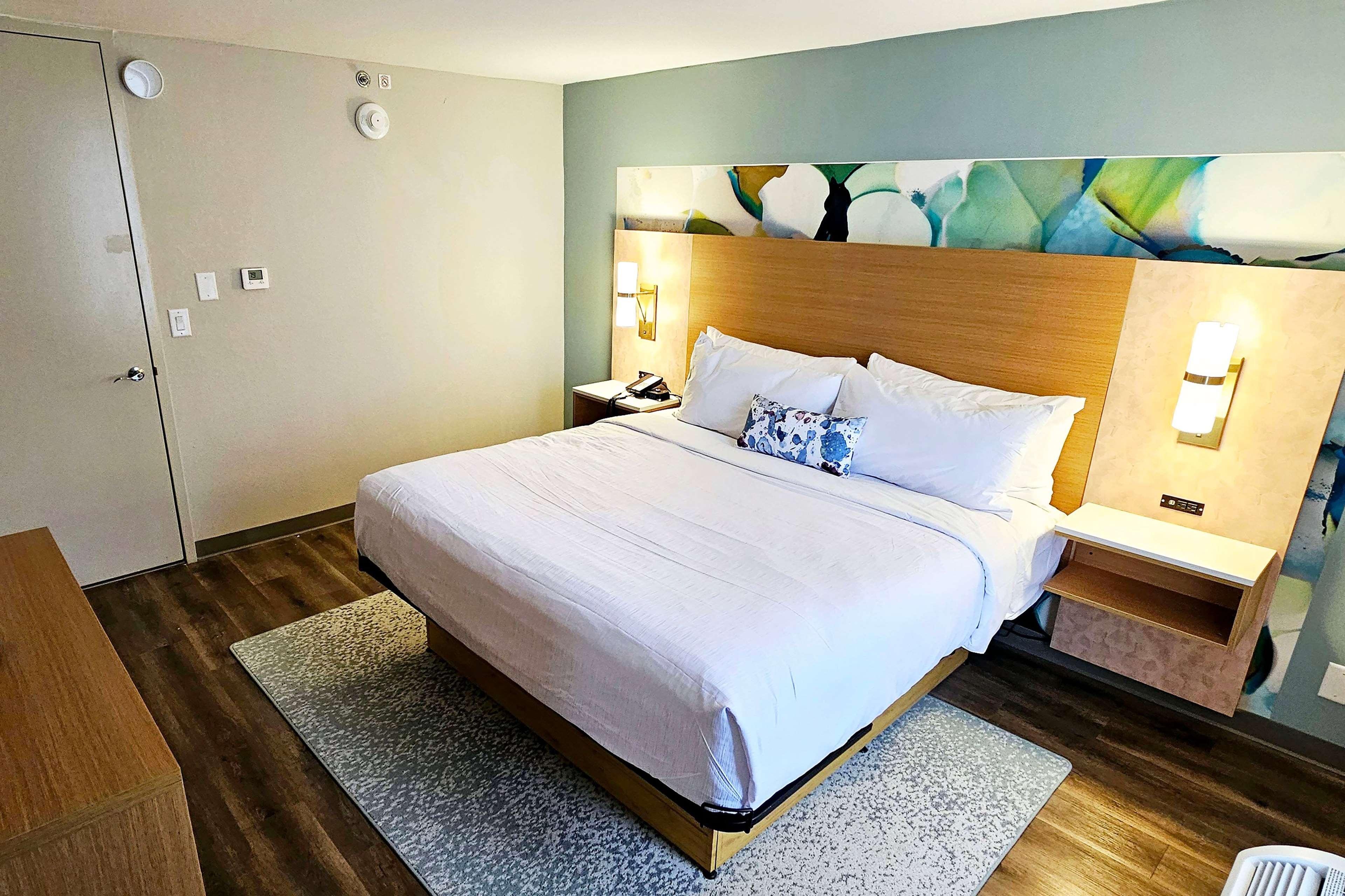 Junior Suite, King Bed