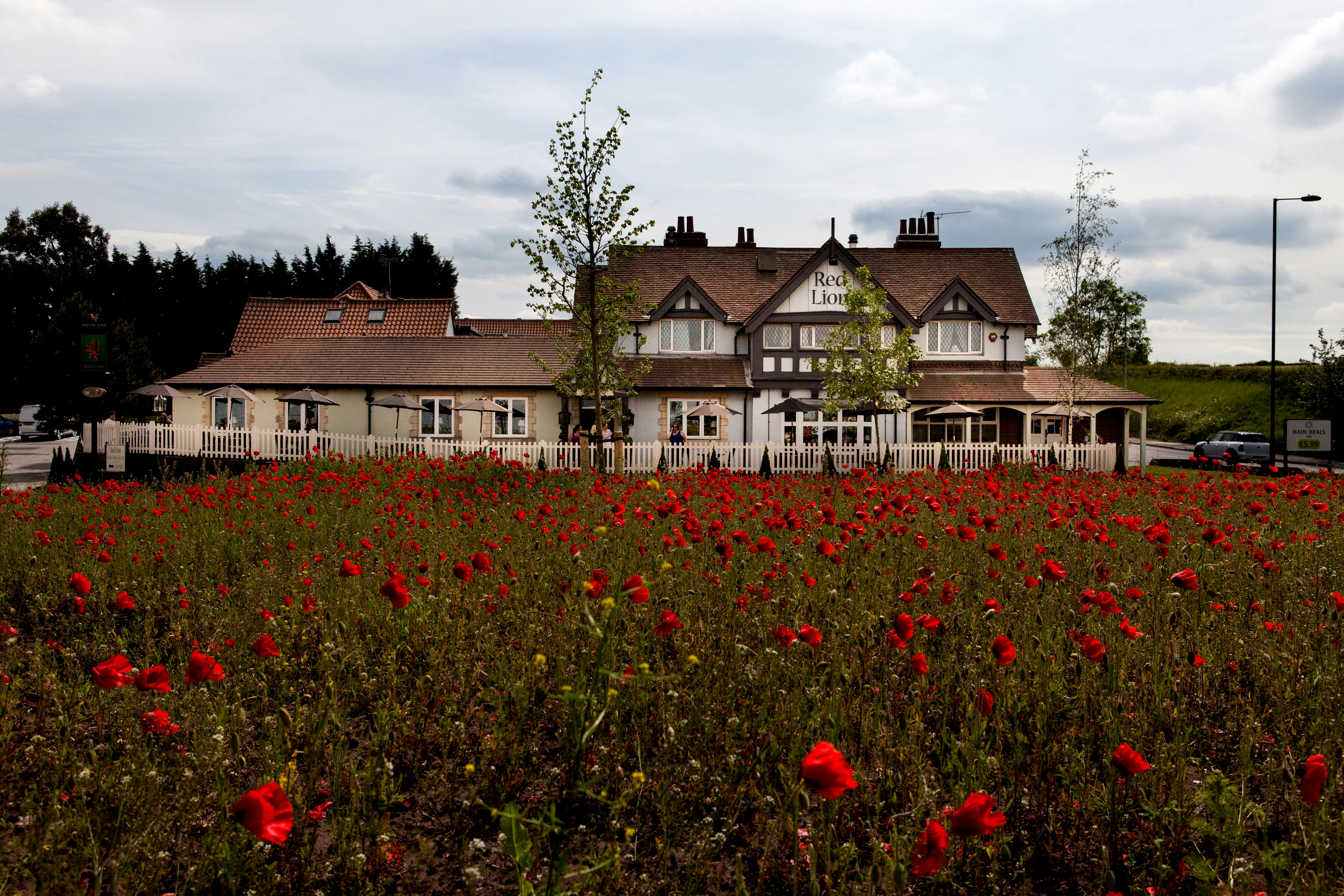 The Red Lion 42/46