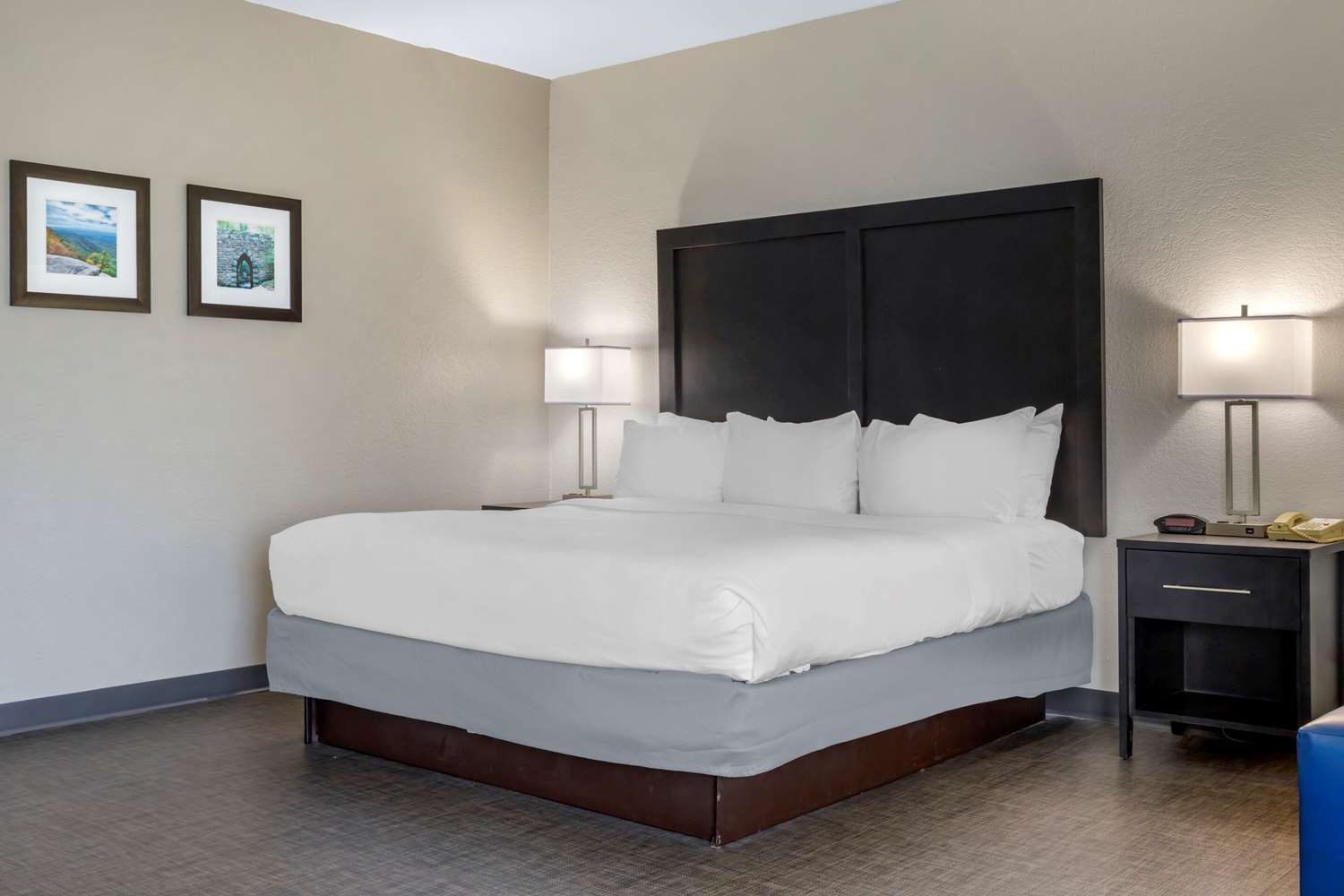 Suite, King Bed