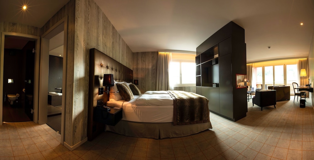 Grischa Das Hotel Davos 15/45