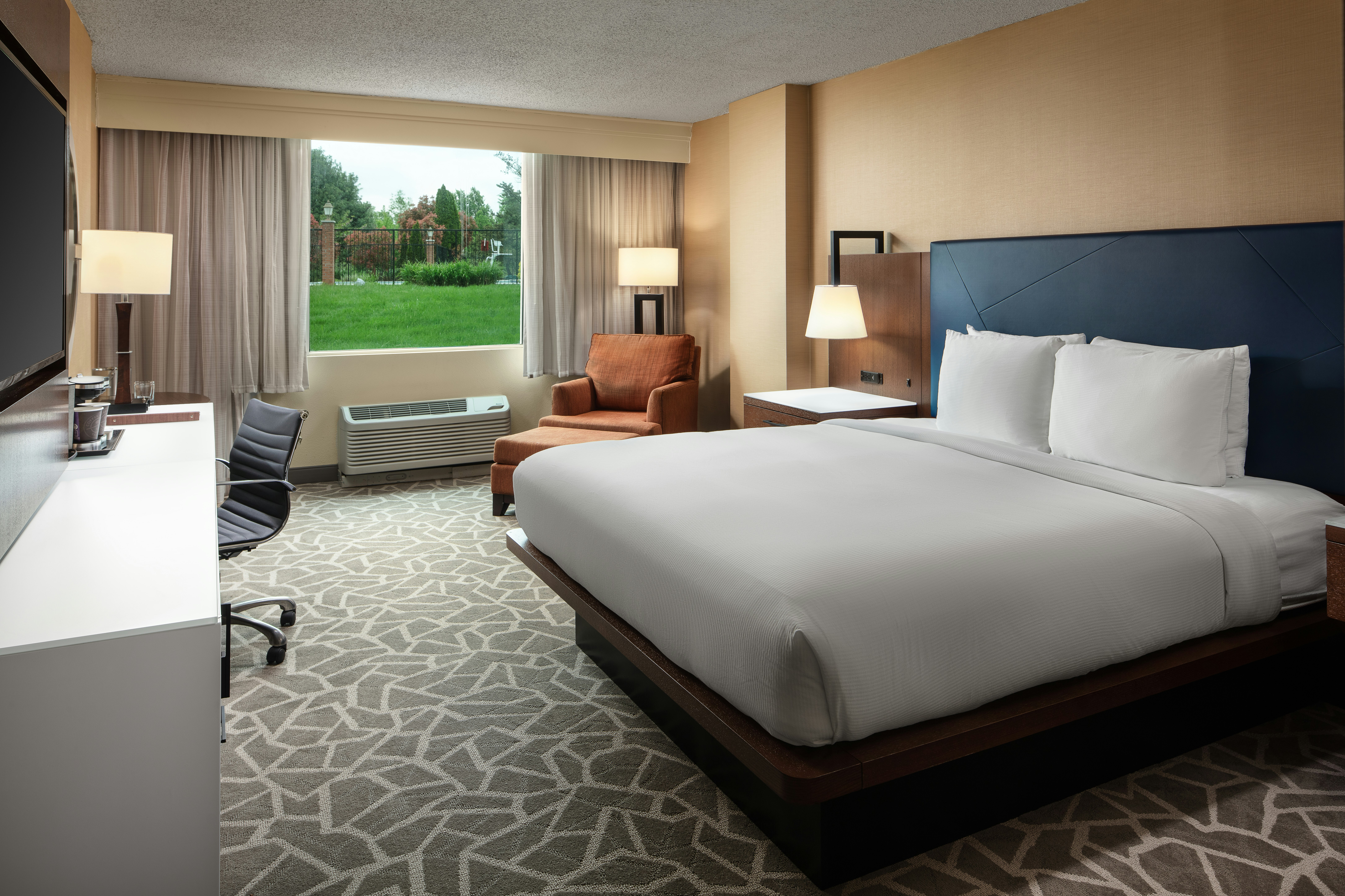 Room, King Bed