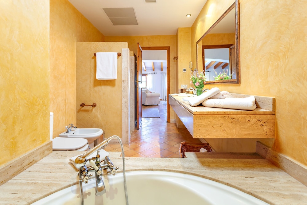 Finca Hotel Son Palou 77/77