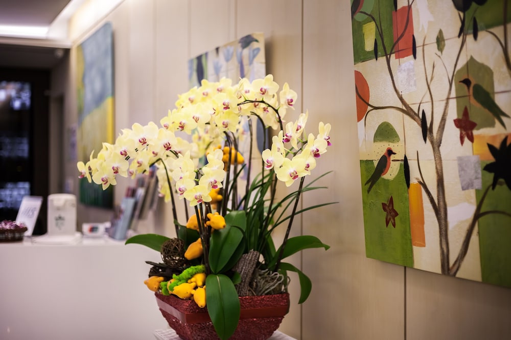 Green World Hotel Linsen 30/41