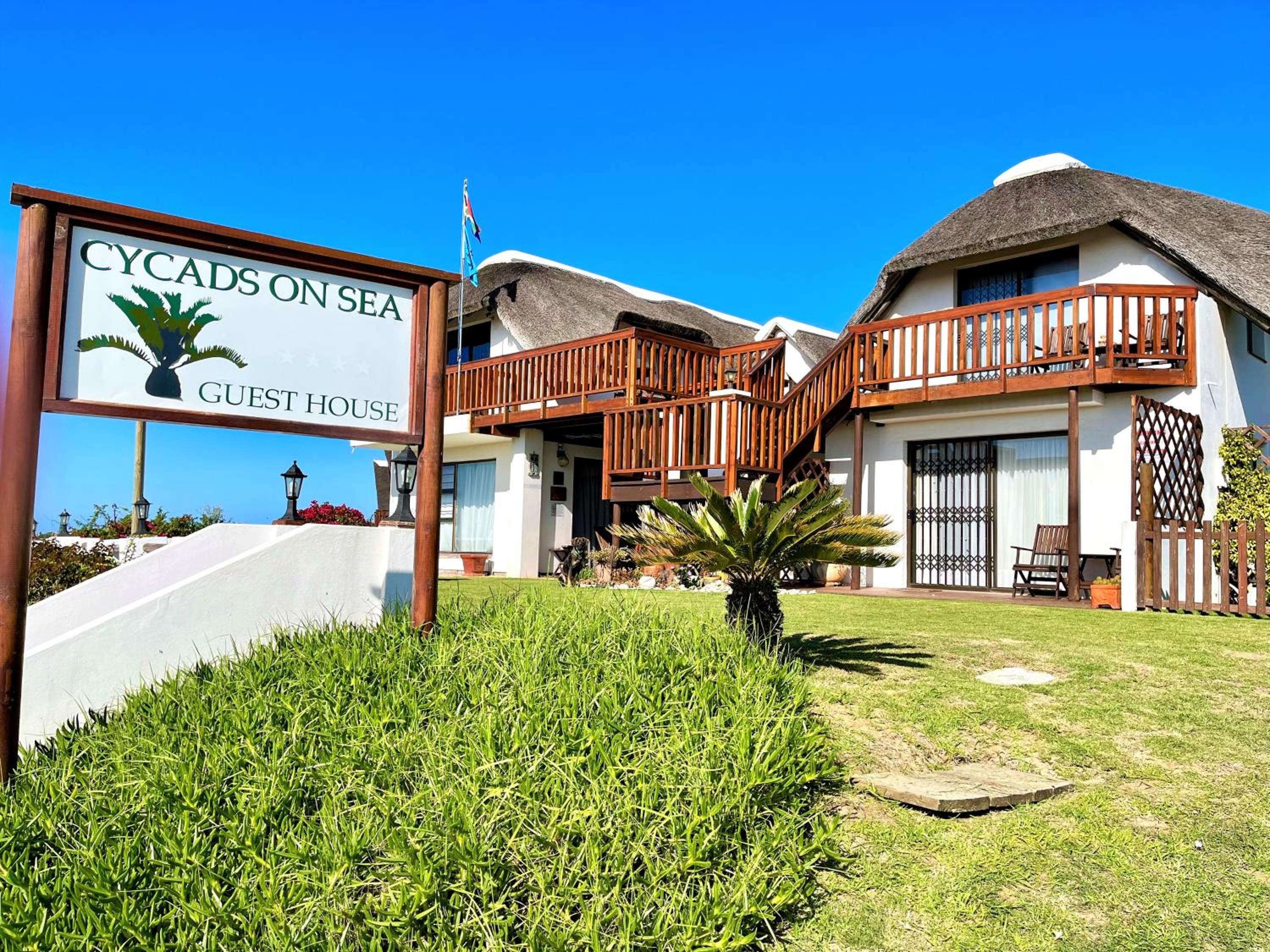 Cycads on Sea Guest House 7/9
