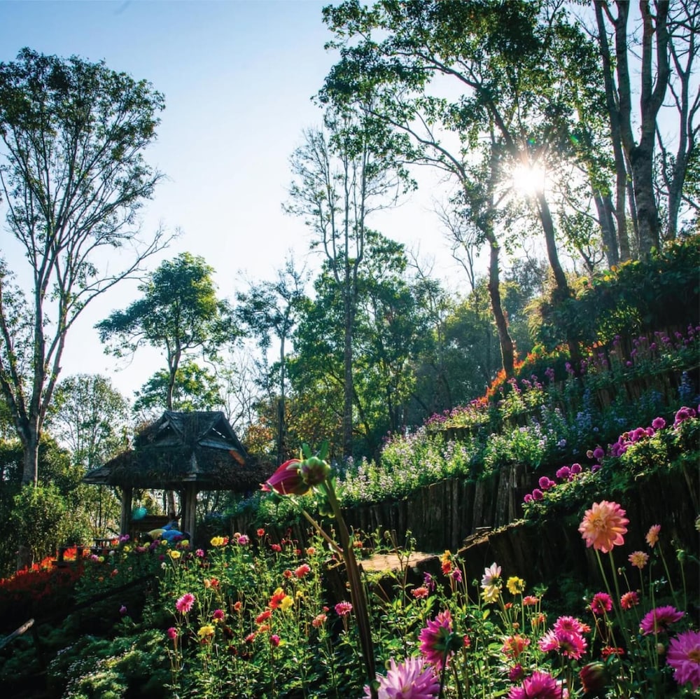 Doi Tung Lodge 36/42