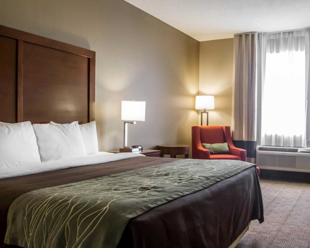Comfort Inn Amite City 17/68