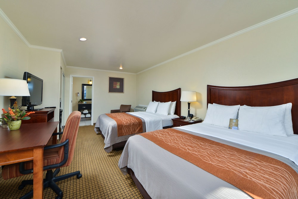 Blu Pacific Hotel 11/38