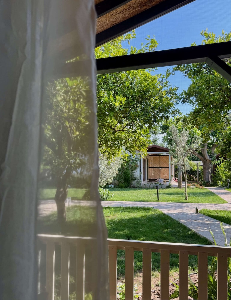 Caretta Caretta Pension 40/43