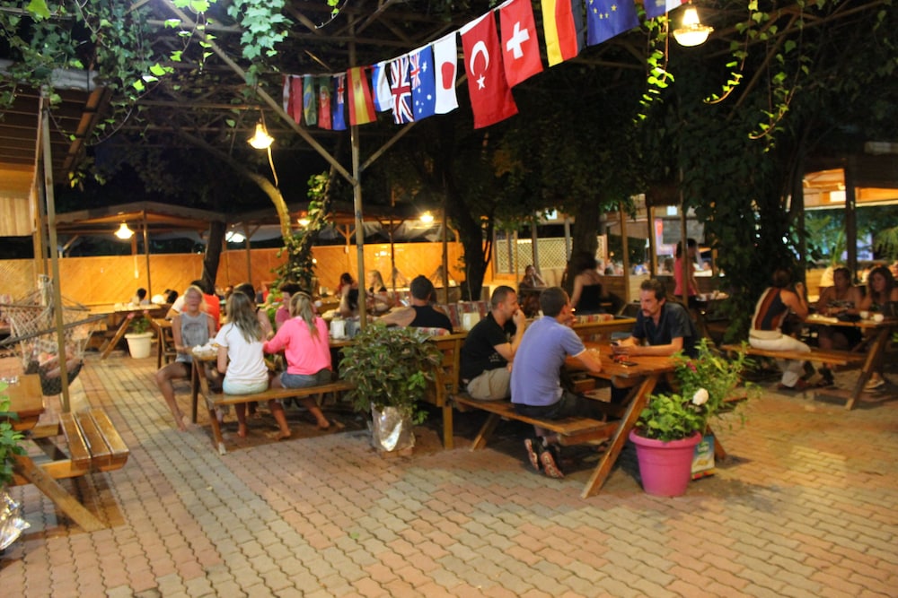 Olympos Orange 31/50