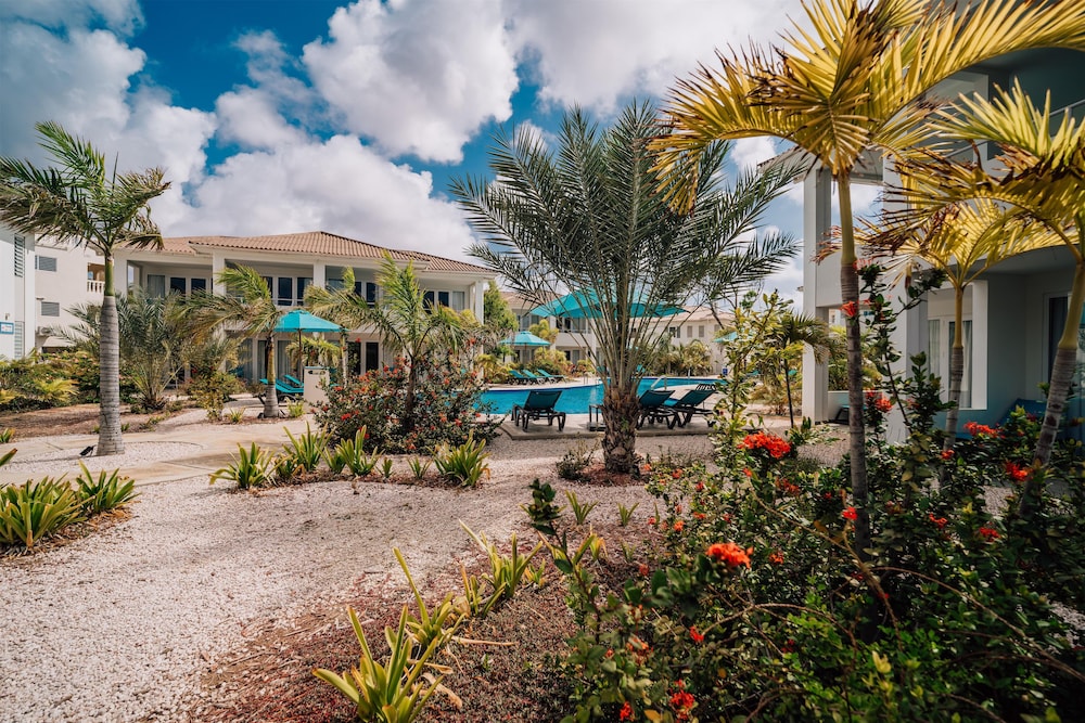 Captain Don's Habitat Bonaire, BW Signature Collection 43/50