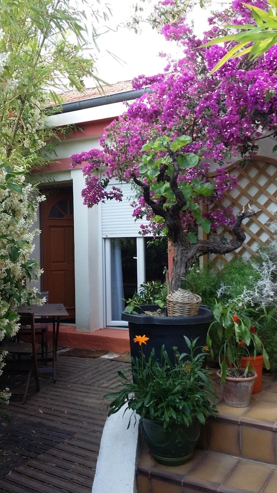Cielito Lindo 3/30
