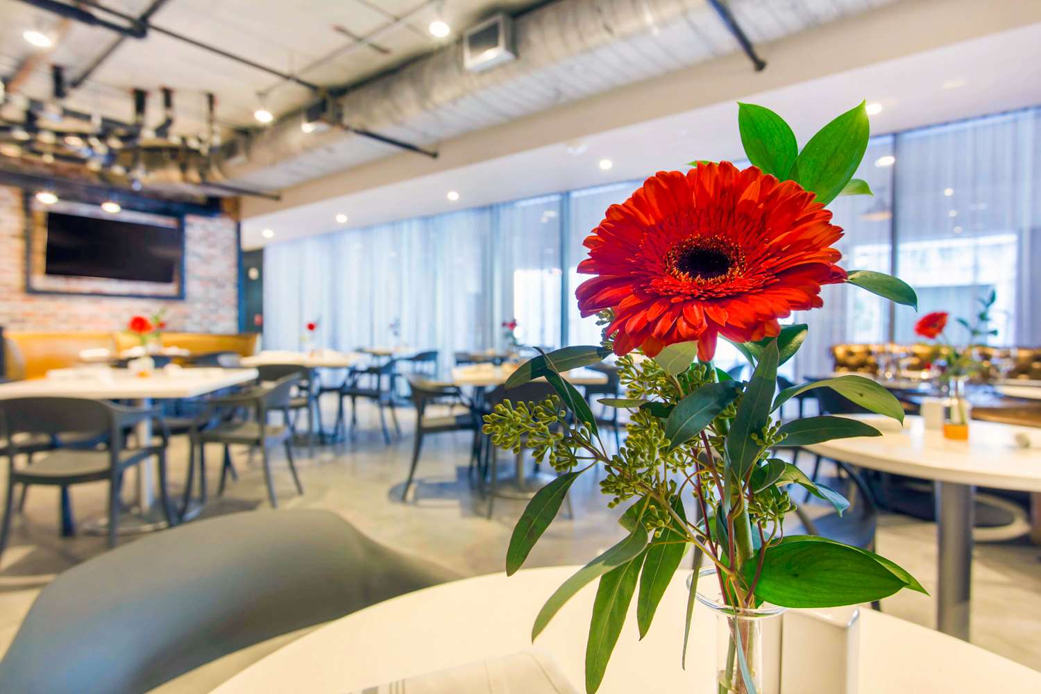 restaurant cafeteria