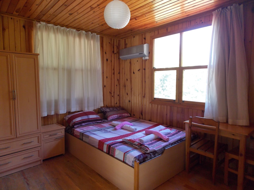 Olympos Orange 15/50
