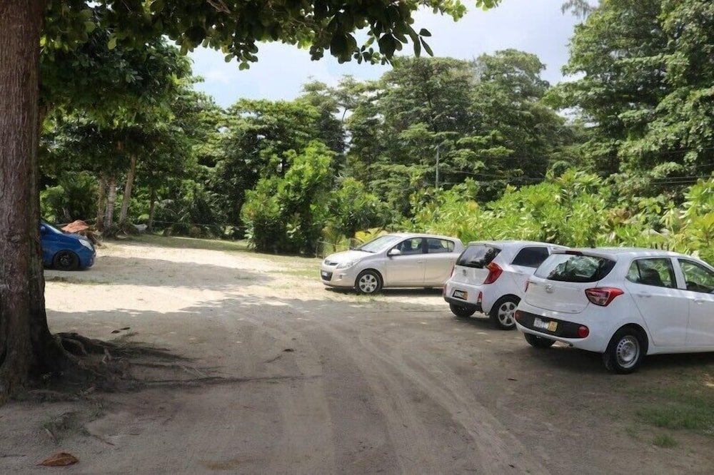 Heliconia Grove 27/46