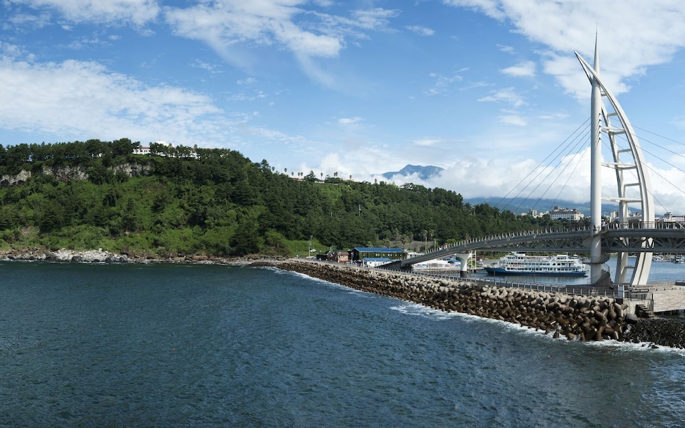 Hotel the Grang Seogwipo 44/55