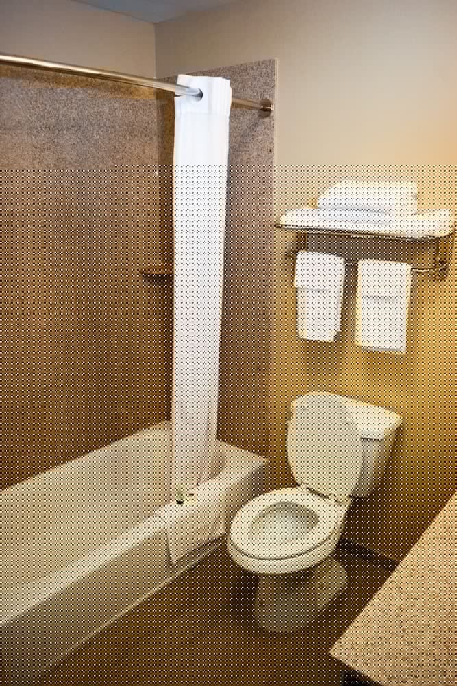 Surestay Hotel by Best Western Cotulla 15/44