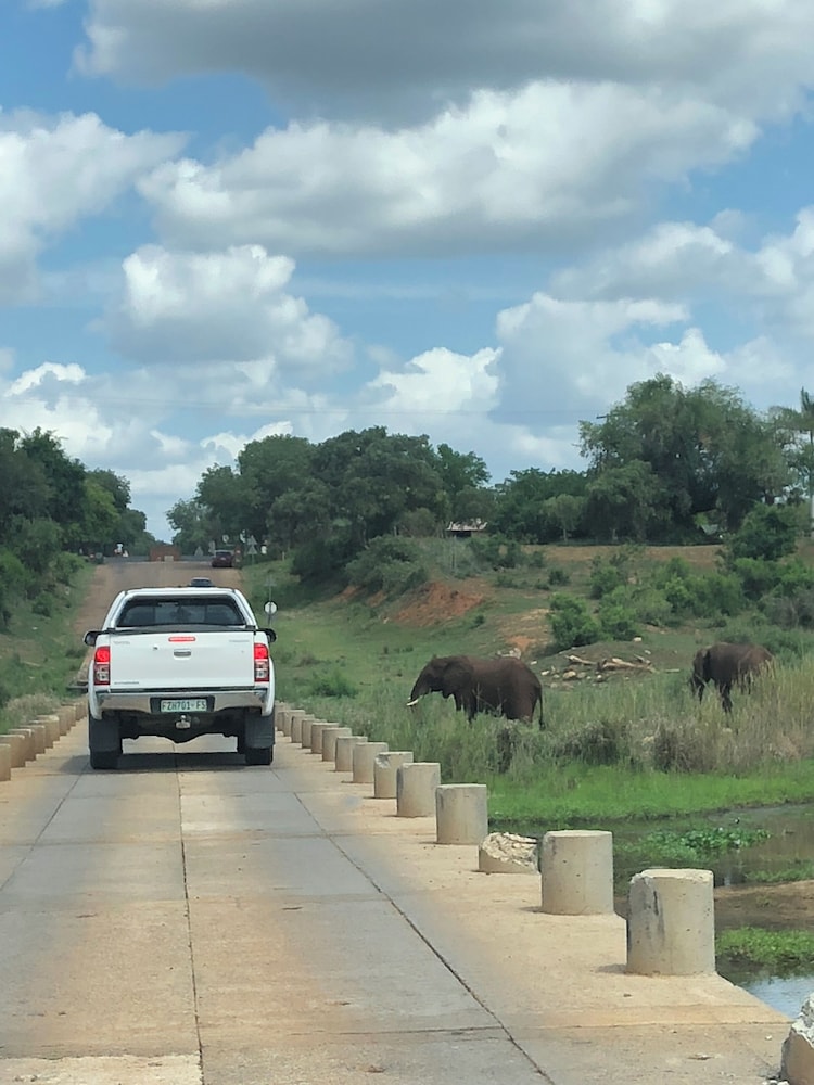 Imbube Safari Lodge 43/50