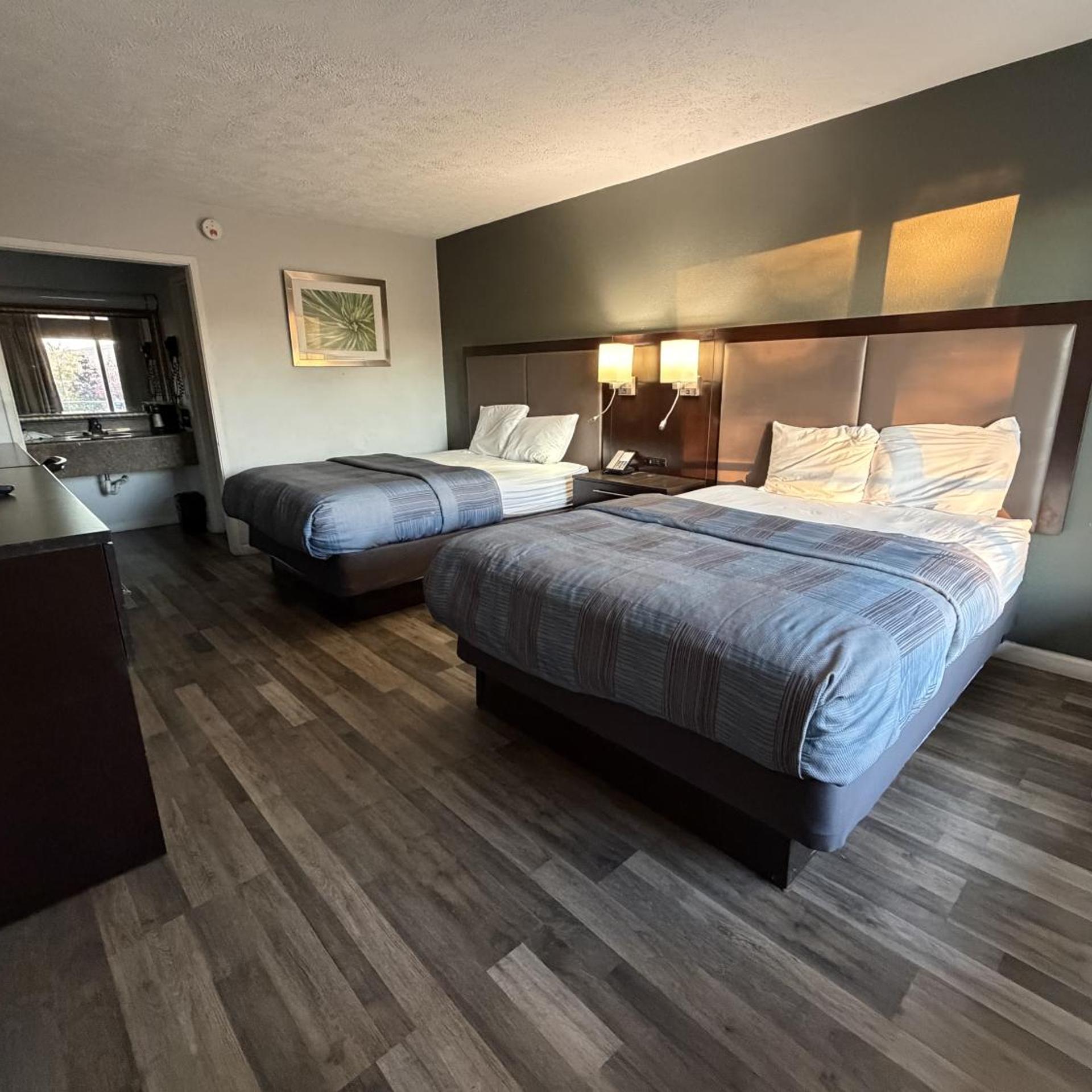 Suite, King Bed