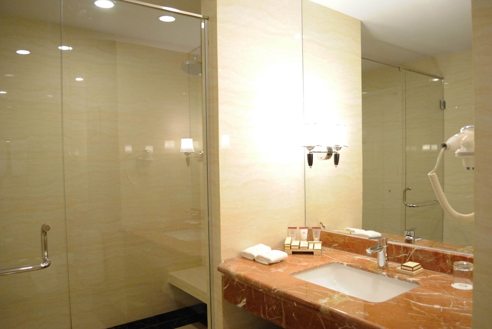 Adimulia Hotel Medan 8/55