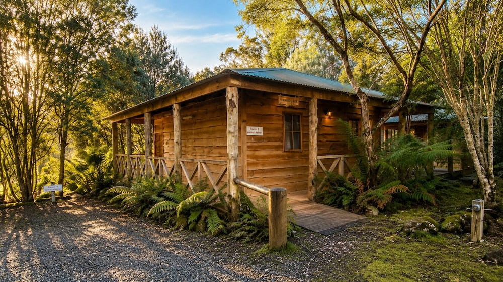 Cradle Forest Inn 3/50