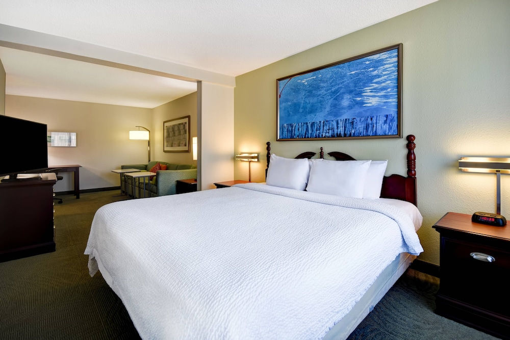 Springhill Suites Atlanta Buford Mall of Georgia 9/50