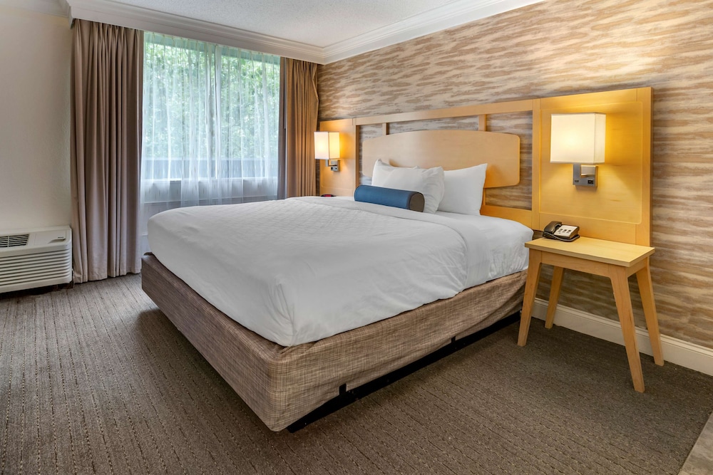 Suite, King Bed, Jetted Tub
