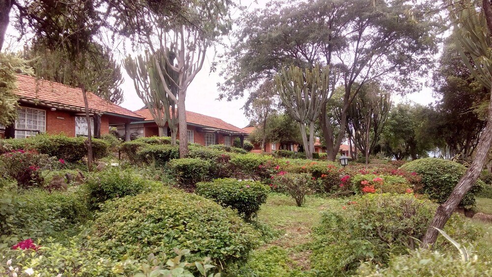 Jacaranda Lake Elementaita Lodge 32/34