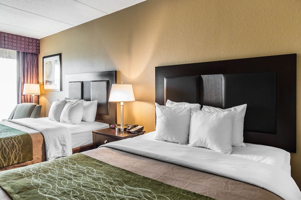 Comfort Inn Warner Robbins 14/21