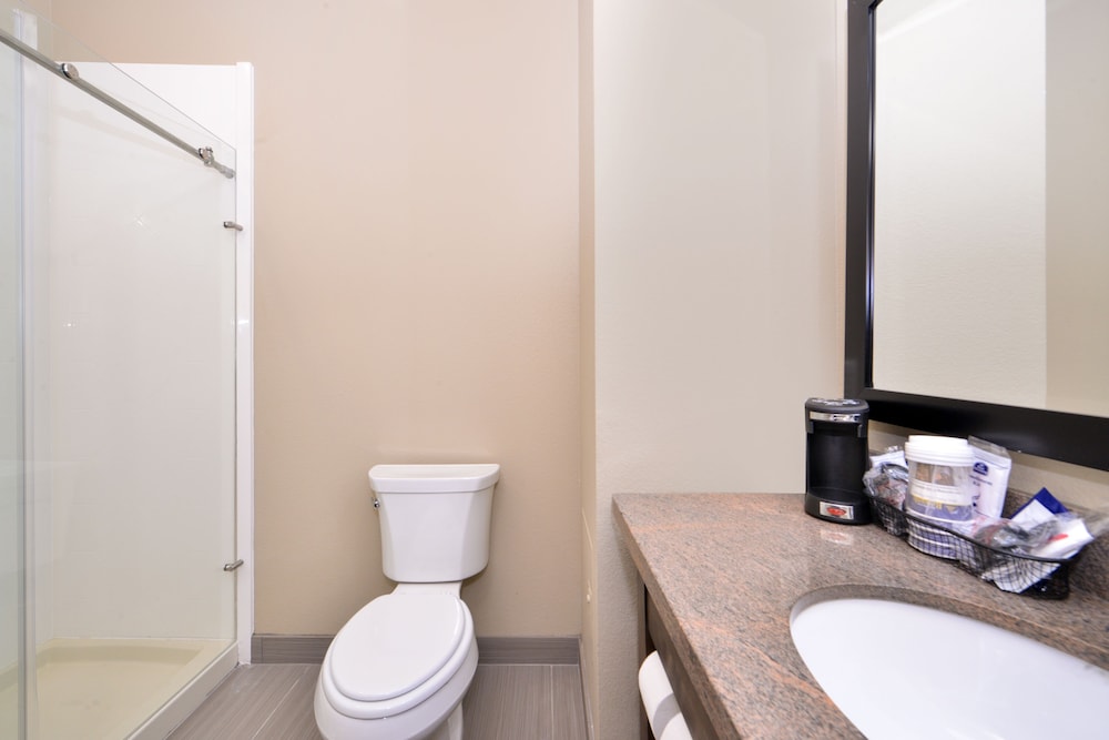 Best Western Plus Fort Stockton Hotel 13/35