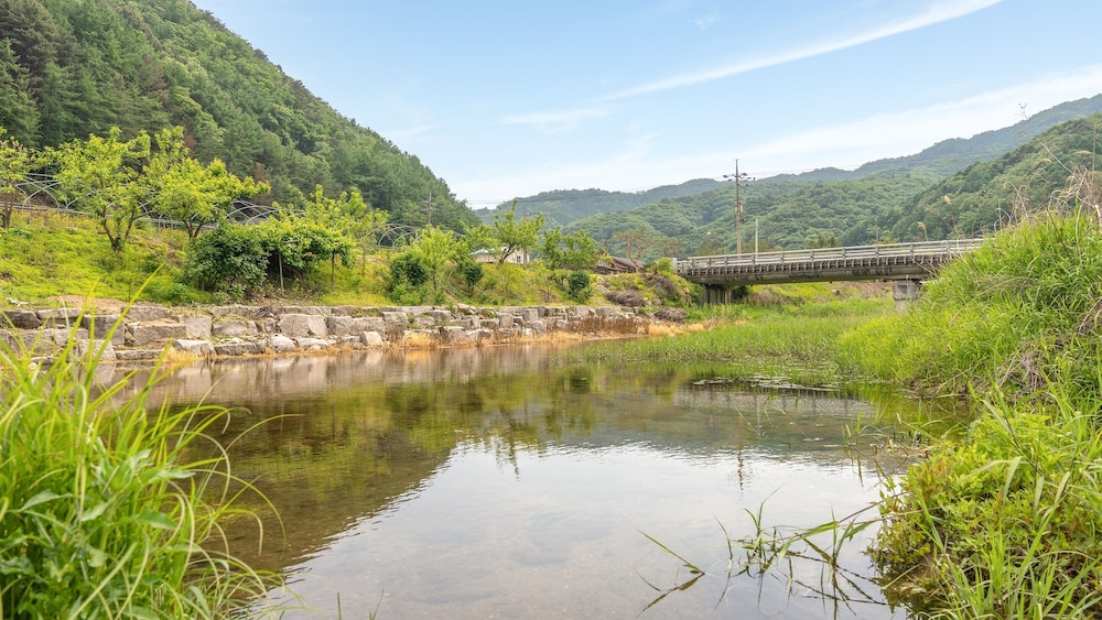 Chuncheon The Vishop Pension 43/49