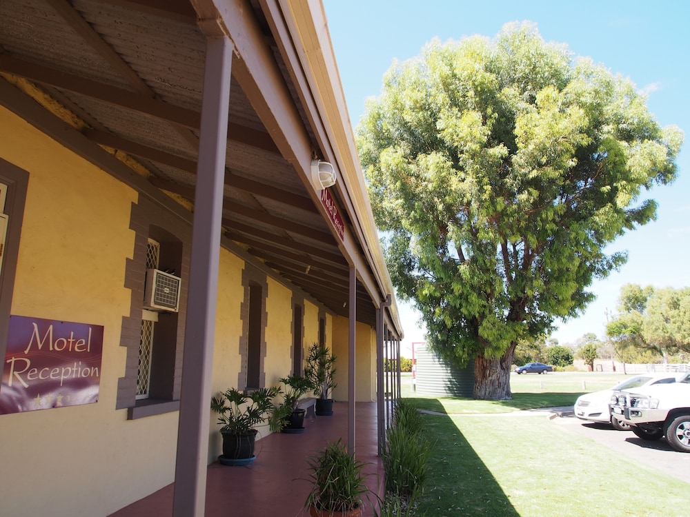 Dongara Hotel Motel 3/29